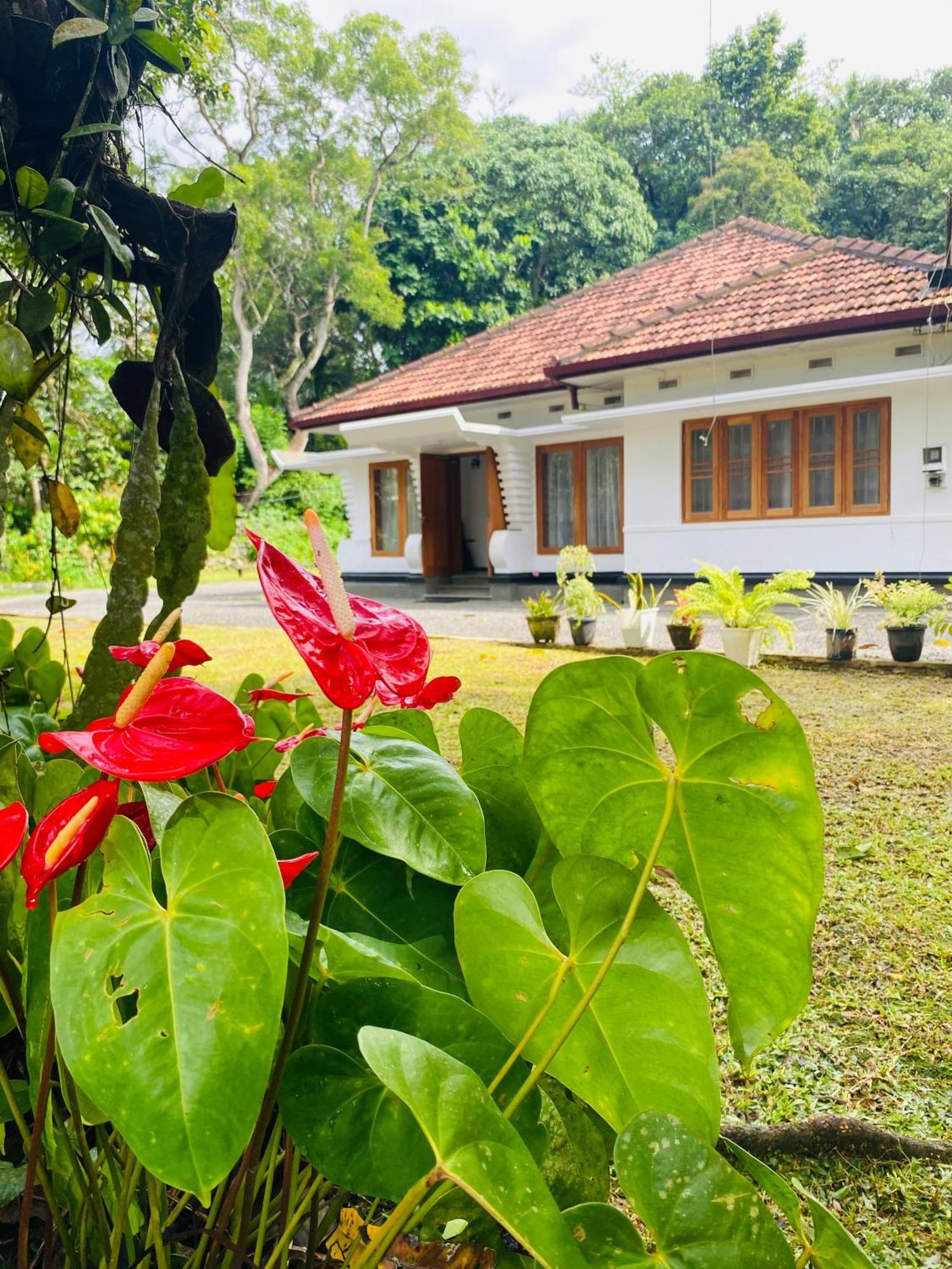 גאלה Happy Valley Residence Unawatuna מראה חיצוני תמונה